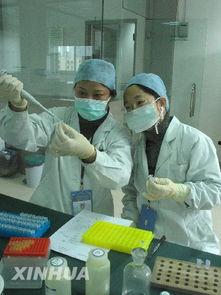 国产亲子鉴定视频,国产视频带你走进科学鉴定的世界